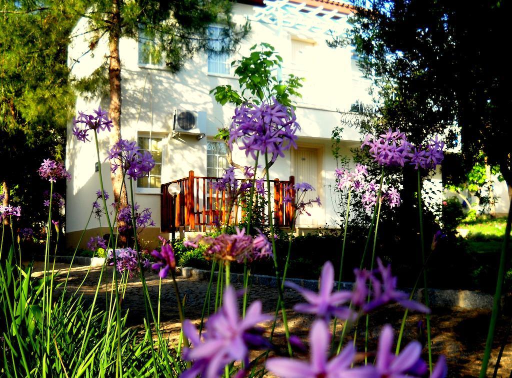 Teos Village Seferihisar Chambre photo